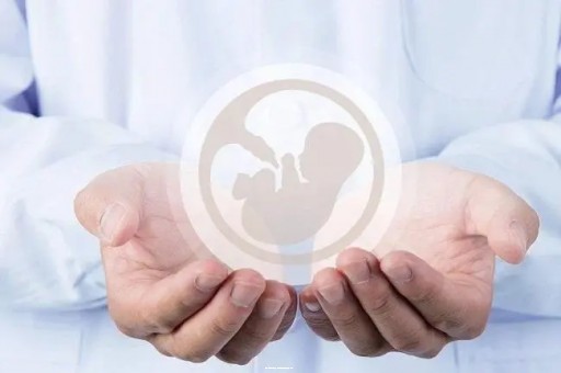 智慧_男性生殖器大小_男性阴茎大小正常是多长|核心