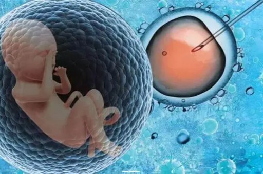 新闻_宁波治疗性病哪里好_宁波治疗生殖器疣医院排名_试管问答|深度  第1张
