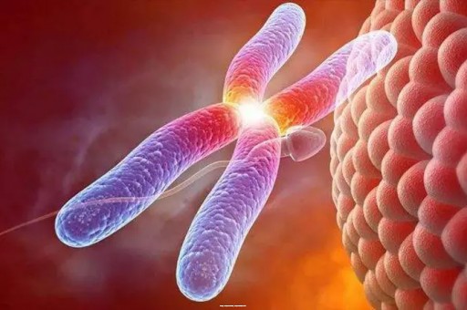 试管解决!吃精子会不会试管怀孕_吃精子会试管怀孕吗|解说