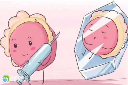 试管大全!女人生殖器_女性的主要生殖是什么|调查